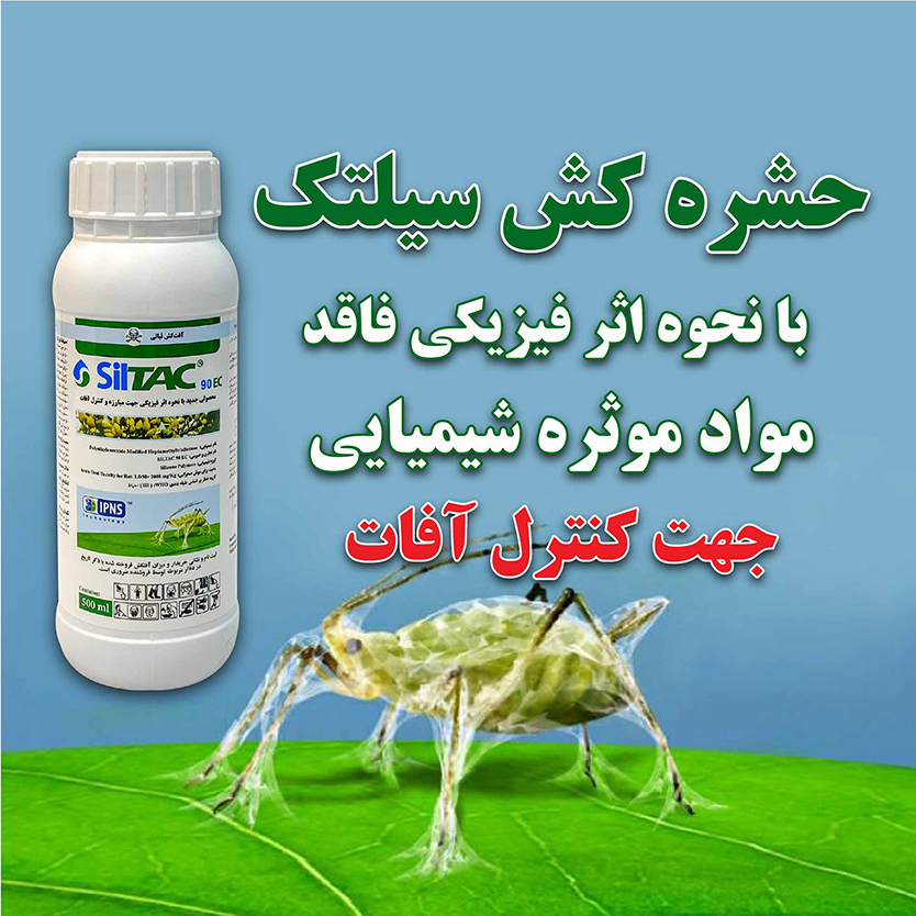 Introduction of Siltac insecticide